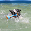 Interactive Dog Toy | Tough Floating Chew Toy with Built-in Squeaker | Durable Fun for Water Play